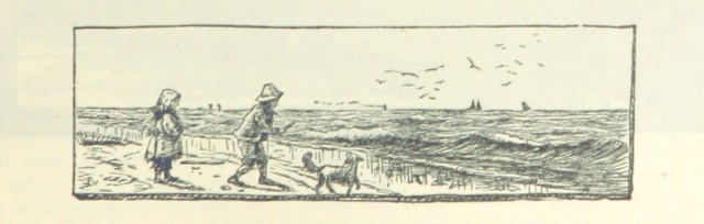 11120867506_f51b076224_o